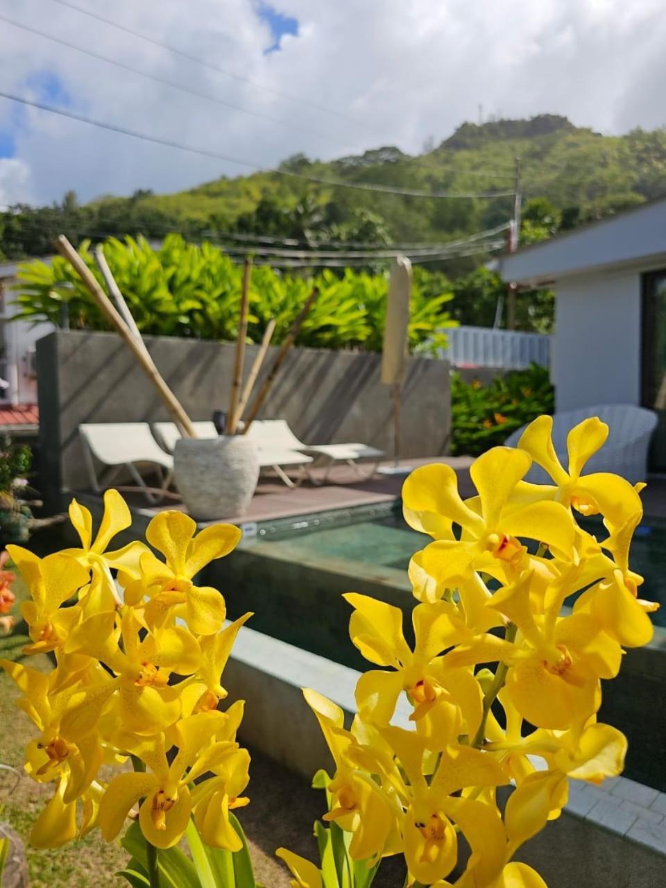 Pointe Au Sel Villa Elodia By Le Duc Hotel & Villas מראה חיצוני תמונה